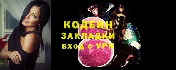 мяу мяу мука Иннополис