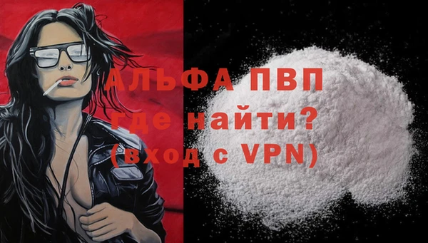 мяу мяу мука Иннополис