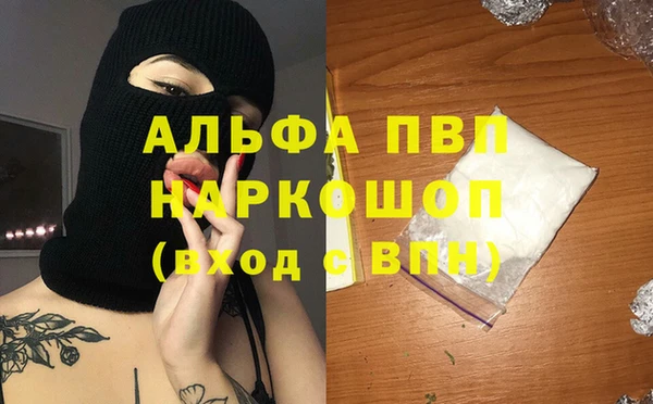 мяу мяу мука Иннополис